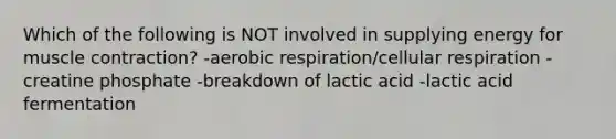 Which of the following is NOT involved in supplying energy for muscle contraction? -aerobic respiration/cellular respiration -creatine phosphate -breakdown of lactic acid -lactic acid fermentation