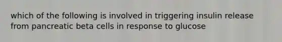 which of the following is involved in triggering insulin release from pancreatic beta cells in response to glucose