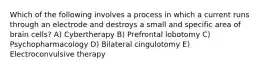 Which of the following involves a process in which a current runs through an electrode and destroys a small and specific area of brain cells? A) Cybertherapy B) Prefrontal lobotomy C) Psychopharmacology D) Bilateral cingulotomy E) Electroconvulsive therapy