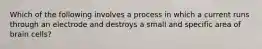 Which of the following involves a process in which a current runs through an electrode and destroys a small and specific area of brain cells?