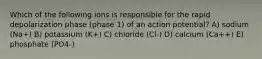 Which of the following ions is responsible for the rapid depolarization phase (phase 1) of an action potential? A) sodium (Na+) B) potassium (K+) C) chloride (Cl-) D) calcium (Ca++) E) phosphate (PO4-)