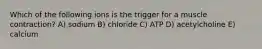 Which of the following ions is the trigger for a muscle contraction? A) sodium B) chloride C) ATP D) acetylcholine E) calcium