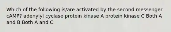 Which of the following is/are activated by the second messenger cAMP? adenylyl cyclase protein kinase A protein kinase C Both A and B Both A and C