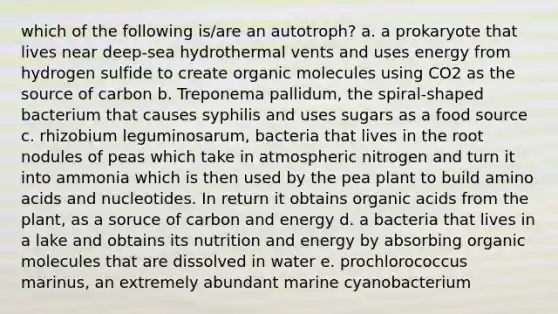 which of the following is/are an autotroph? a. a prokaryote that lives near deep-sea hydrothermal vents and uses energy from hydrogen sulfide to create organic molecules using CO2 as the source of carbon b. Treponema pallidum, the spiral-shaped bacterium that causes syphilis and uses sugars as a food source c. rhizobium leguminosarum, bacteria that lives in the root nodules of peas which take in atmospheric nitrogen and turn it into ammonia which is then used by the pea plant to build amino acids and nucleotides. In return it obtains organic acids from the plant, as a soruce of carbon and energy d. a bacteria that lives in a lake and obtains its nutrition and energy by absorbing organic molecules that are dissolved in water e. prochlorococcus marinus, an extremely abundant marine cyanobacterium