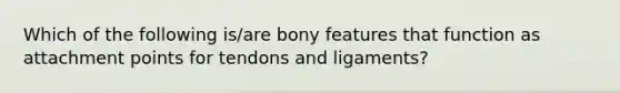 Which of the following is/are bony features that function as attachment points for tendons and ligaments?