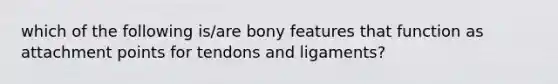 which of the following is/are bony features that function as attachment points for tendons and ligaments?