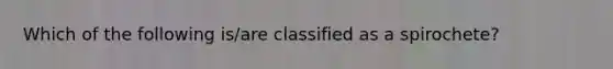 Which of the following is/are classified as a spirochete?