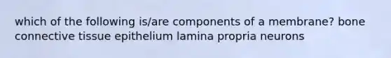 which of the following is/are components of a membrane? bone connective tissue epithelium lamina propria neurons