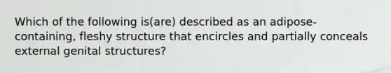 Which of the following is(are) described as an adipose-containing, fleshy structure that encircles and partially conceals external genital structures?