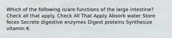 Which of the following is/are functions of the large intestine? Check all that apply. Check All That Apply Absorb water Store feces Secrete digestive enzymes Digest proteins Synthesize vitamin K