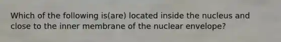 Which of the following is(are) located inside the nucleus and close to the inner membrane of the nuclear envelope?