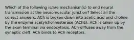 Which of the following is/are mechanism(s) to end neural transmission at the neuromuscular junction? Select all the correct answers. ACh is broken down into acetic acid and choline by the enzyme acetylcholinesterase (AChE). ACh is taken up by the axon terminal via endocytosis. ACh diffuses away from the synaptic cleft. ACh binds to ACh receptors.