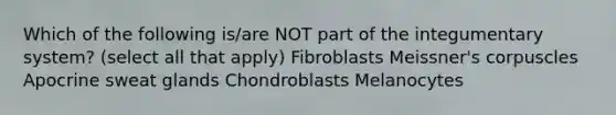 Which of the following is/are NOT part of the integumentary system? (select all that apply) Fibroblasts Meissner's corpuscles Apocrine sweat glands Chondroblasts Melanocytes