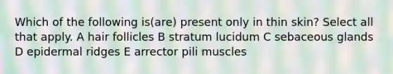 Which of the following is(are) present only in thin skin? Select all that apply. A hair follicles B stratum lucidum C sebaceous glands D epidermal ridges E arrector pili muscles