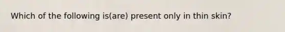 Which of the following is(are) present only in thin skin?