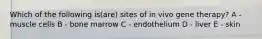 Which of the following is(are) sites of in vivo gene therapy? A - muscle cells B - bone marrow C - endothelium D - liver E - skin