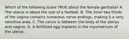 Which of the following is/are TRUE about the female genitalia? A. The uterus is about the size of a football. B. The inner two thirds of the vagina contains numerous nerve endings, making it a very sensitive area. C. The cervix is between the body of the uterus and vagina. D. A fertilized egg implants in the myometrium of the uterus.