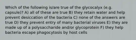 Which of the following is/are true of the glycocalyx (e.g. capsule)? A) all of these are true B) they retain water and help prevent desiccation of the bacteria C) none of the answers are true D) they prevent entry of many bacterial viruses E) they are made up of a polysaccharide and/or glycoprotein F) they help bacteria escape phagocytosis by host cells