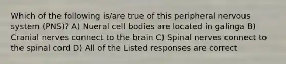 Which of the following is/are true of this peripheral nervous system (PNS)? A) Nueral cell bodies are located in galinga B) <a href='https://www.questionai.com/knowledge/kE0S4sPl98-cranial-nerves' class='anchor-knowledge'>cranial nerves</a> connect to <a href='https://www.questionai.com/knowledge/kLMtJeqKp6-the-brain' class='anchor-knowledge'>the brain</a> C) Spinal nerves connect to <a href='https://www.questionai.com/knowledge/kkAfzcJHuZ-the-spinal-cord' class='anchor-knowledge'>the spinal cord</a> D) All of the Listed responses are correct