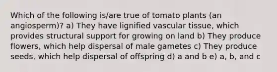 Which of the following is/are true of tomato plants (an angiosperm)? a) They have lignified vascular tissue, which provides structural support for growing on land b) They produce flowers, which help dispersal of male gametes c) They produce seeds, which help dispersal of offspring d) a and b e) a, b, and c