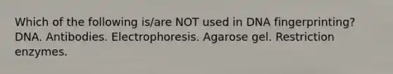 Which of the following is/are NOT used in DNA fingerprinting? DNA. Antibodies. Electrophoresis. Agarose gel. Restriction enzymes.