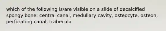 which of the following is/are visible on a slide of decalcified spongy bone: central canal, medullary cavity, osteocyte, osteon, perforating canal, trabecula