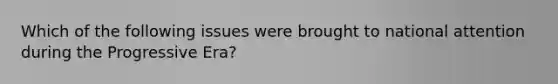 Which of the following issues were brought to national attention during the Progressive Era?