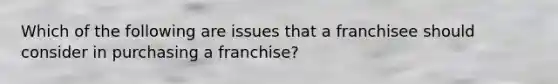 Which of the following are issues that a franchisee should consider in purchasing a franchise?