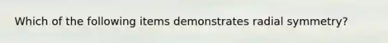 Which of the following items demonstrates radial symmetry?