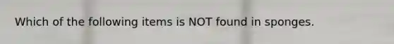 Which of the following items is NOT found in sponges.