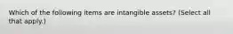 Which of the following items are intangible assets? (Select all that apply.)