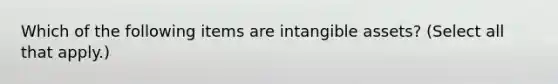 Which of the following items are intangible assets? (Select all that apply.)