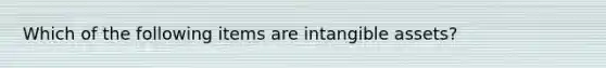Which of the following items are <a href='https://www.questionai.com/knowledge/kfaeAOzavC-intangible-assets' class='anchor-knowledge'>intangible assets</a>?