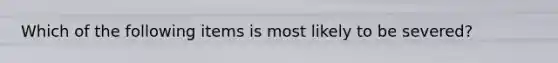 Which of the following items is most likely to be severed?