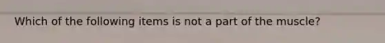 Which of the following items is not a part of the muscle?