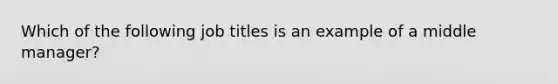 Which of the following job titles is an example of a middle manager?