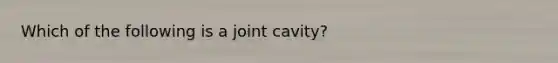 Which of the following is a joint cavity?