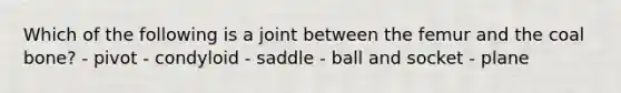 Which of the following is a joint between the femur and the coal bone? - pivot - condyloid - saddle - ball and socket - plane