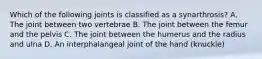 Which of the following joints is classified as a synarthrosis? A. The joint between two vertebrae B. The joint between the femur and the pelvis C. The joint between the humerus and the radius and ulna D. An interphalangeal joint of the hand (knuckle)