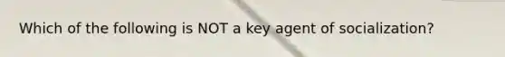 Which of the following is NOT a key agent of socialization?