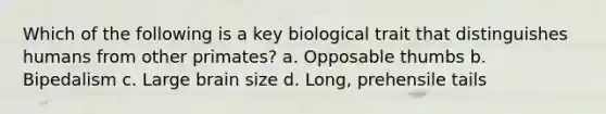 Which of the following is a key biological trait that distinguishes humans from other primates? a. Opposable thumbs b. Bipedalism c. Large brain size d. Long, prehensile tails