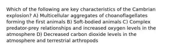 Which of the following are key characteristics of the Cambrian explosion? A) Multicellular aggregates of choanoflagellates forming the first animals B) Soft-bodied animals C) Complex predator-prey relationships and increased oxygen levels in the atmosphere D) Decreased carbon dioxide levels in the atmosphere and terrestrial arthropods