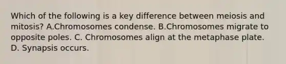 Which of the following is a key difference between meiosis and mitosis? A.Chromosomes condense. B.Chromosomes migrate to opposite poles. C. Chromosomes align at the metaphase plate. D. Synapsis occurs.