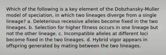 Which of the following is a key element of the Dobzhansky-Muller model of speciation, in which two lineages diverge from a single lineage? a. Deleterious recessive alleles become fixed in the two lineages. b. Selection for higher fitness occurs in one lineage but not the other lineage. c. Incompatible alleles at different loci become fixed in the two lineages. d. Hybrid vigor appears in offspring generated by mating between the two lineages.