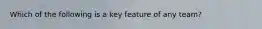 Which of the following is a key feature of any team?