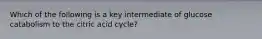 Which of the following is a key intermediate of glucose catabolism to the citric acid cycle?