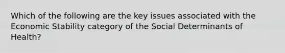 Which of the following are the key issues associated with the Economic Stability category of the Social Determinants of Health?