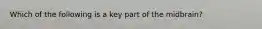 Which of the following is a key part of the midbrain?