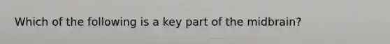 Which of the following is a key part of the midbrain?