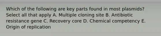 Which of the following are key parts found in most plasmids? Select all that apply A. Multiple cloning site B. Antibiotic resistance gene C. Recovery core D. Chemical competency E. Origin of replication